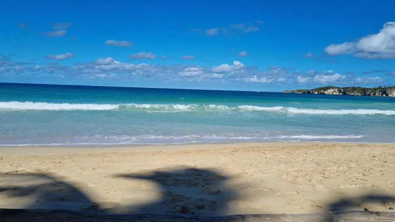 Πανσιόν Unique And Quiet Apartments La Botanica Tropical Πούντα Κάνα Δομινικανή Δημοκρατία