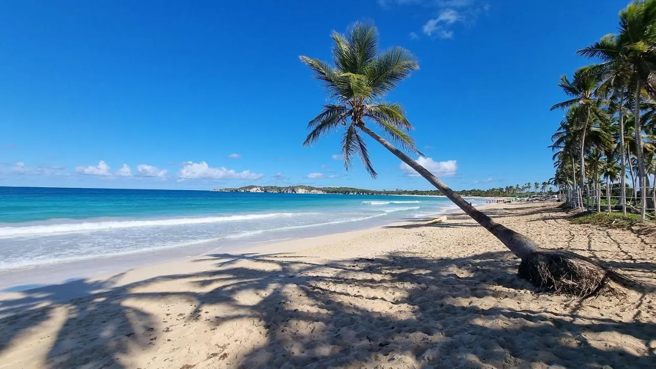 Πανσιόν Unique And Quiet Apartments La Botanica Tropical Πούντα Κάνα
