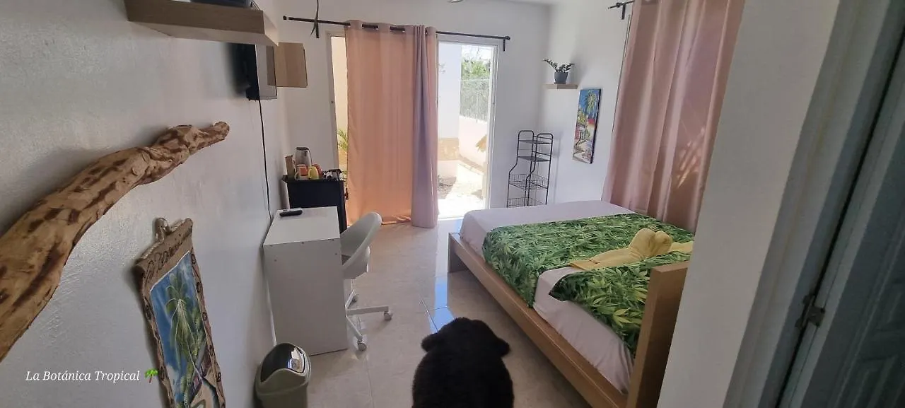 Πανσιόν Unique And Quiet Apartments La Botanica Tropical Πούντα Κάνα