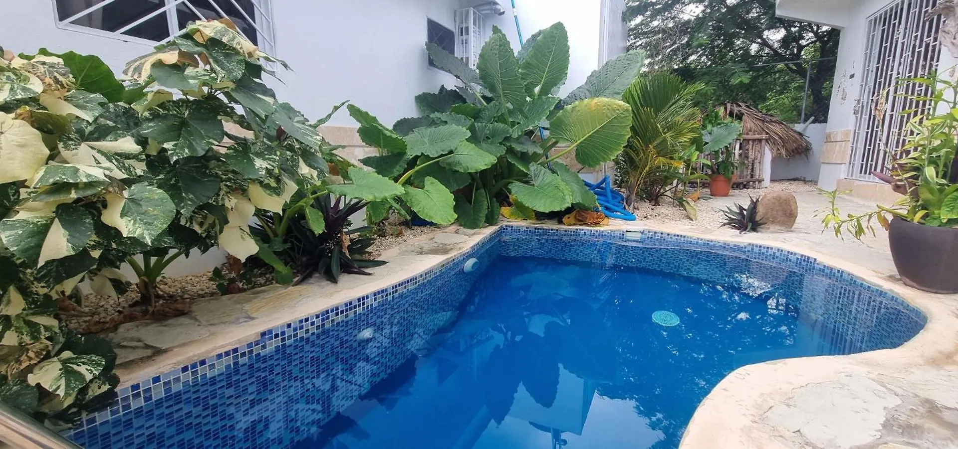 Unique And Quiet Apartments La Botanica Tropical Πούντα Κάνα 0*,  Δομινικανή Δημοκρατία