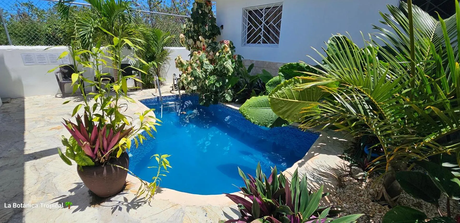 Πανσιόν Unique And Quiet Apartments La Botanica Tropical Πούντα Κάνα Δομινικανή Δημοκρατία