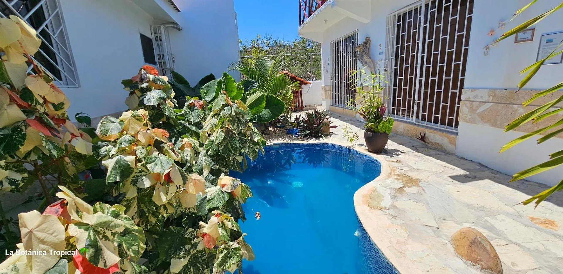 Unique And Quiet Apartments La Botanica Tropical Πούντα Κάνα