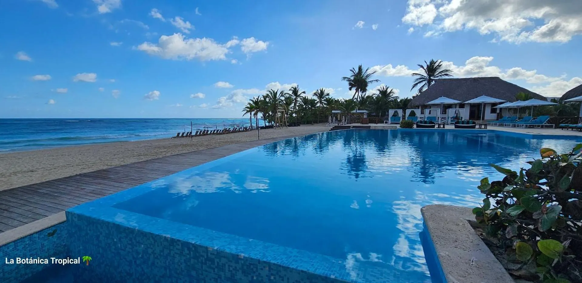 Maison d'hôtes Unique And Quiet Apartments La Botanica Tropical Punta Cana République dominicaine